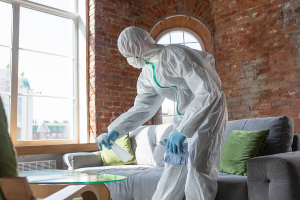 Best Asbestos and Lead Testing During Mold Inspection  in Gunter, TX